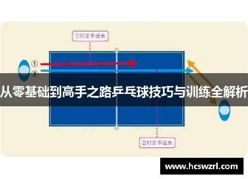 从零基础到高手之路乒乓球技巧与训练全解析